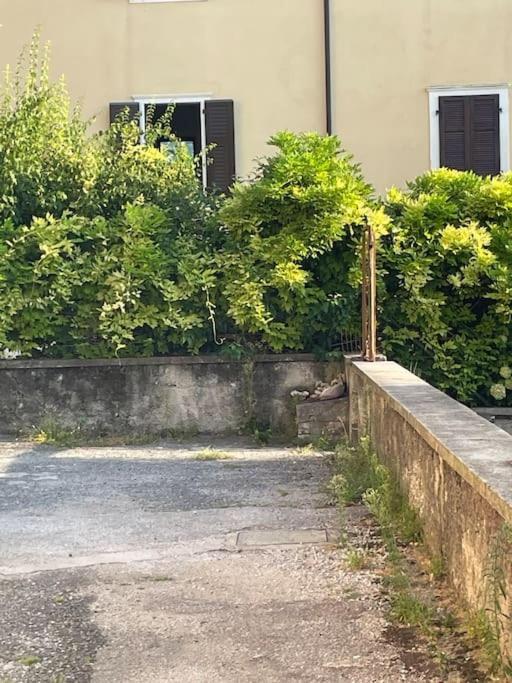 The Lime Tree Cozy Flat Apartment Riva del Garda Exterior photo
